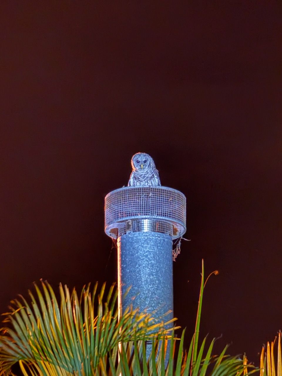 An owl is sitting on top of a lighthouse at night.