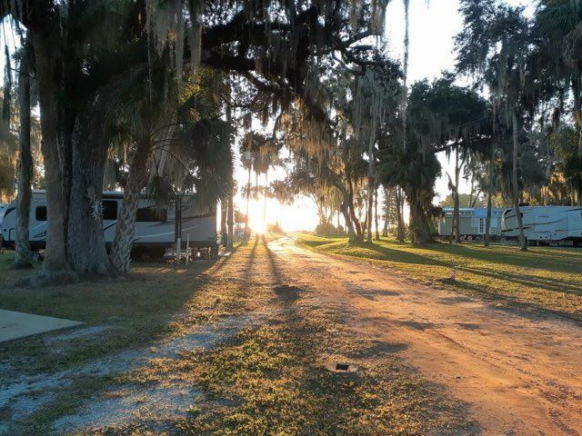 A dirt road surrounded by trees and rvs at a campground.