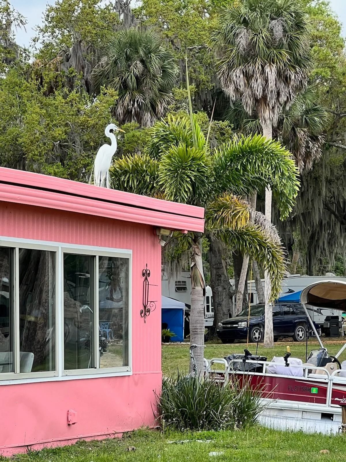 A pink house with a bird on the roof and a boat in the background.