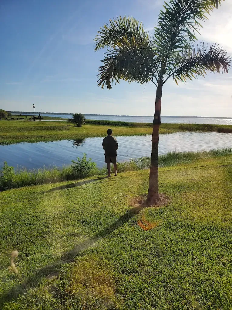 A man is standing next to a palm tree near a body of water.