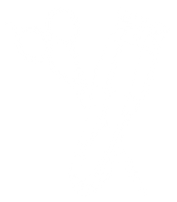 Empty white background.