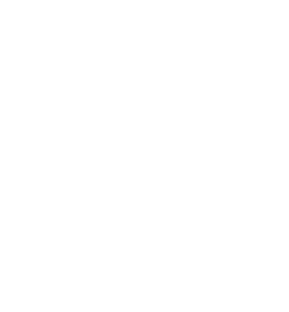 Empty white space.