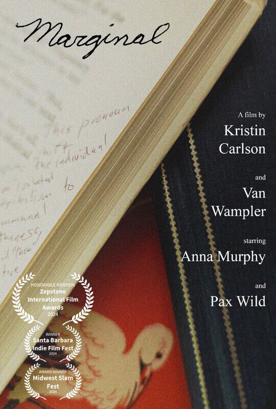 A poster for chicago reel shorts shows a woman holding a film reel in her hand.