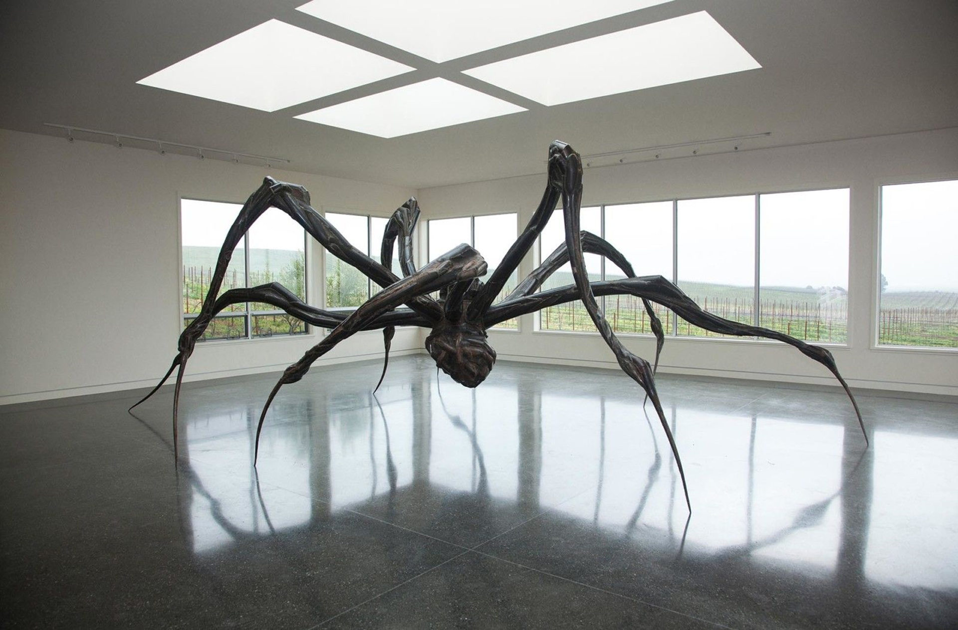 spider Louise Bourgeois
