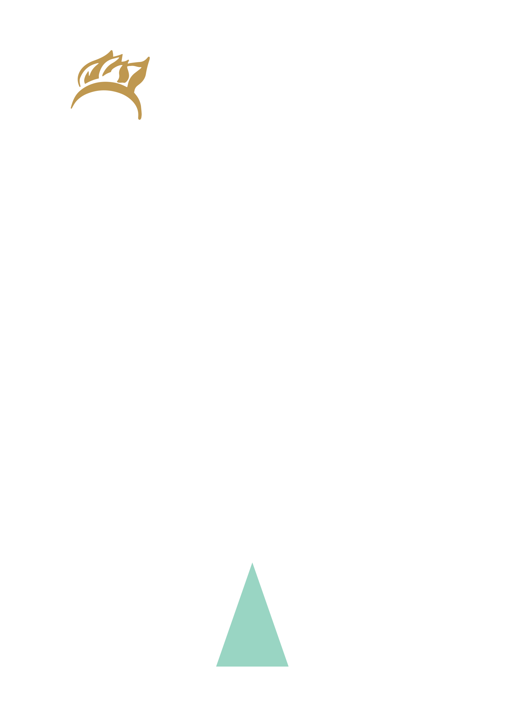 A crown is sitting on top of a green triangle on a white background.