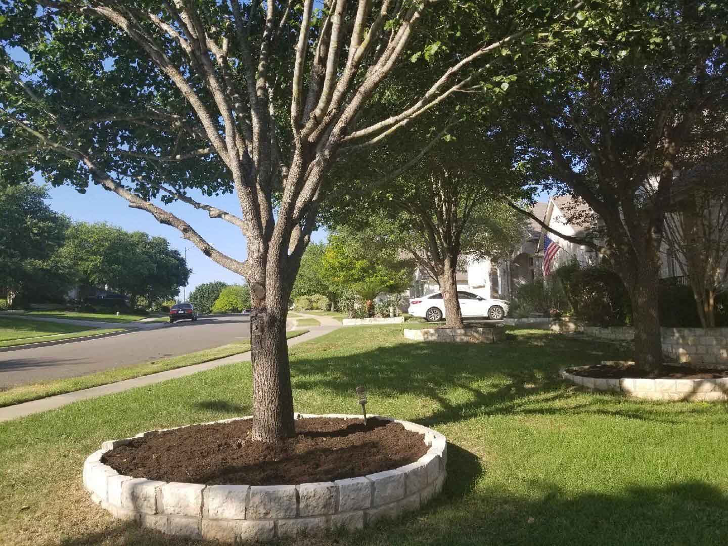 Tree Service Gallery TX PRV Tree Service