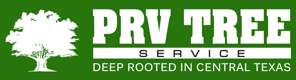 Prv Tree Service, Tree Service Round Rock Texas