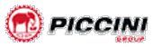 GRUPPO  PICCINI SPA_logo