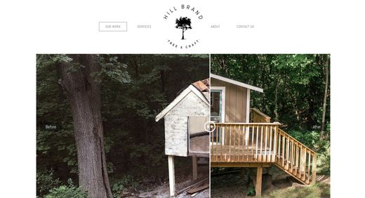 Website Example Screenshot