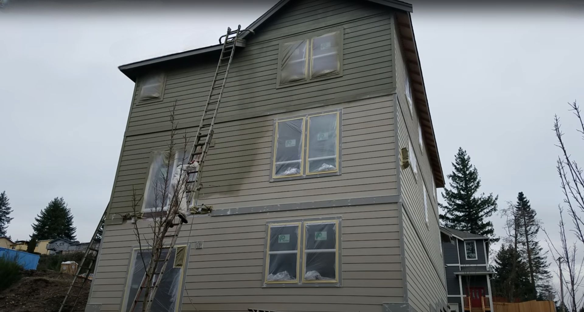 exterior of house with a ladder reaching to the top of it