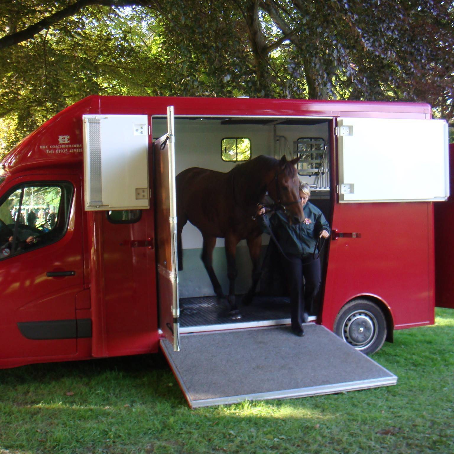a horse coming out of a van