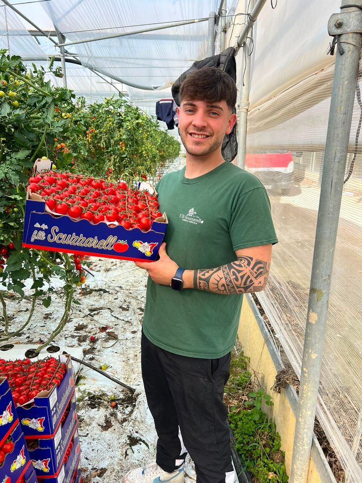 Mani dell'agricoltore con grappolo d'uva fresco