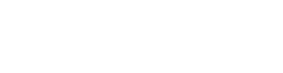 www.bullsai.com