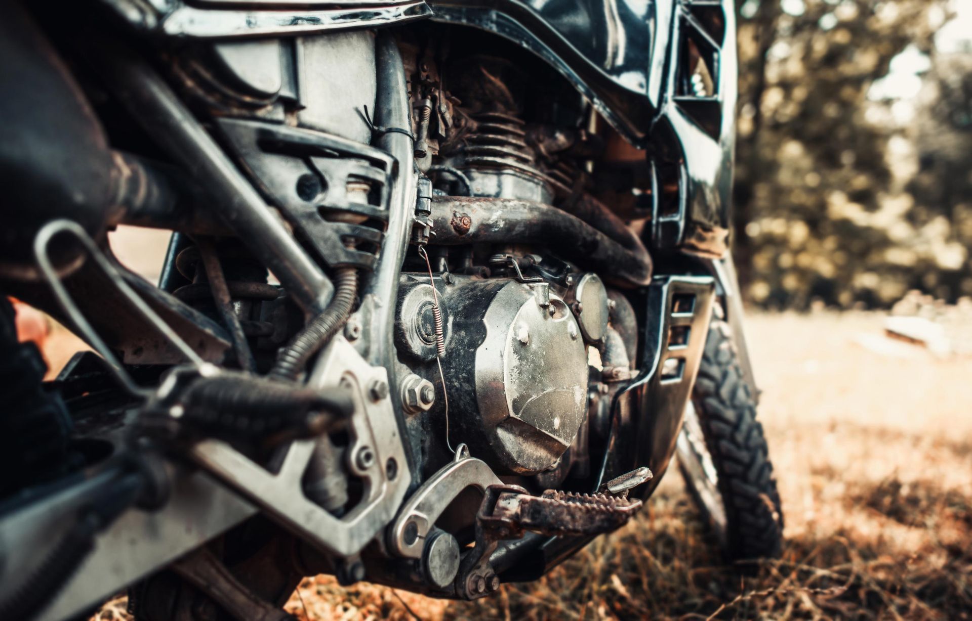 Close-up of a dirty motorcycle engine in outdoor setting. Black engine with silver hardware, grass visible.