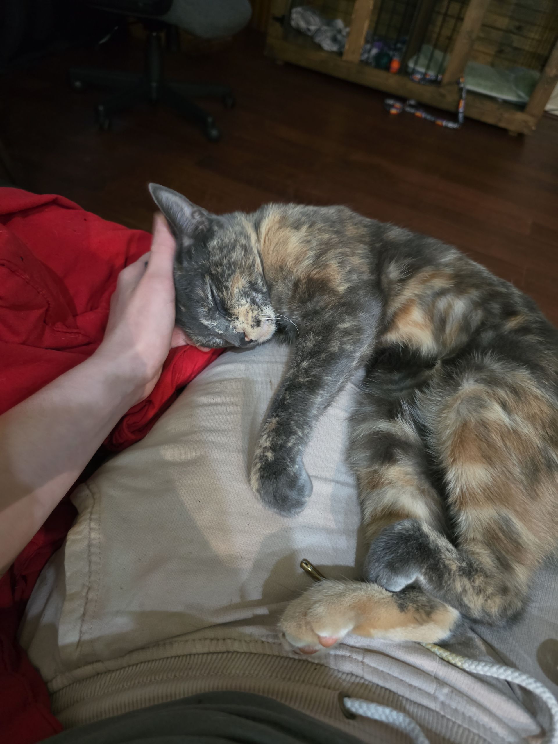 car detailing near me