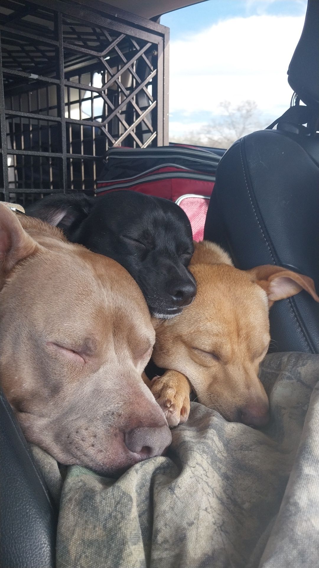 ceramic coating near me