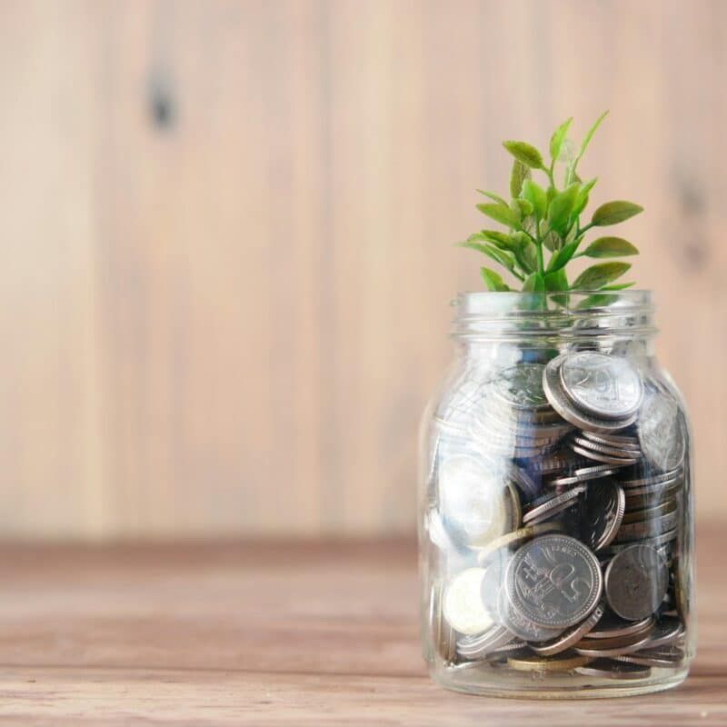 A jar filled with coins and a plant growing out of it.
