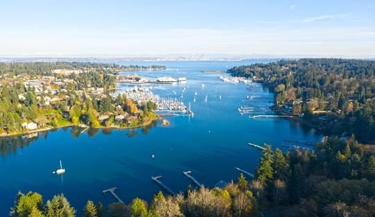 An aerial view of a large body of water surrounded by trees.