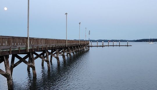 A pier overlooking a body of water with a full moon in the background.