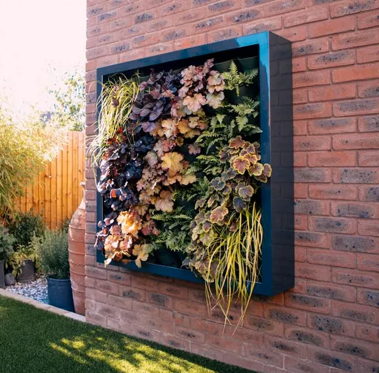 wall-planter-wonder-wall