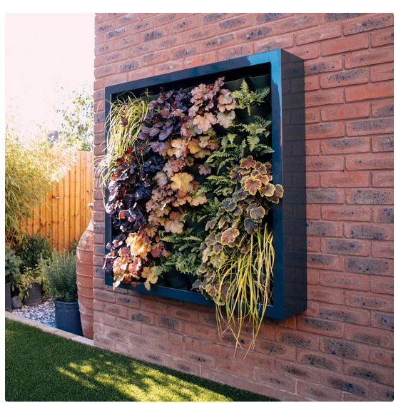 contemporary-wall-planter