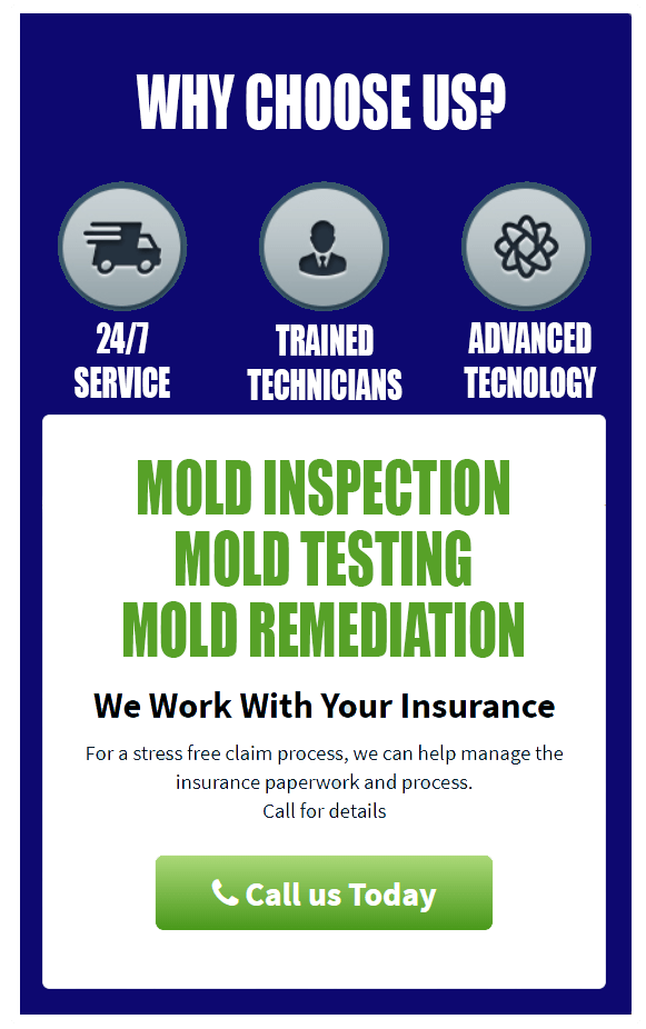 Mold Inspections Testing And Mold Remediation New England