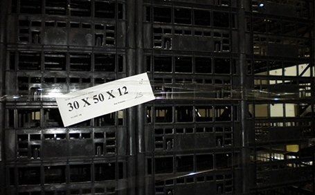 casse per l'ortofrutta