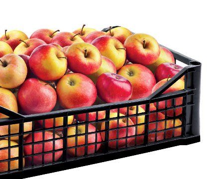 casse ortofrutta in plastica