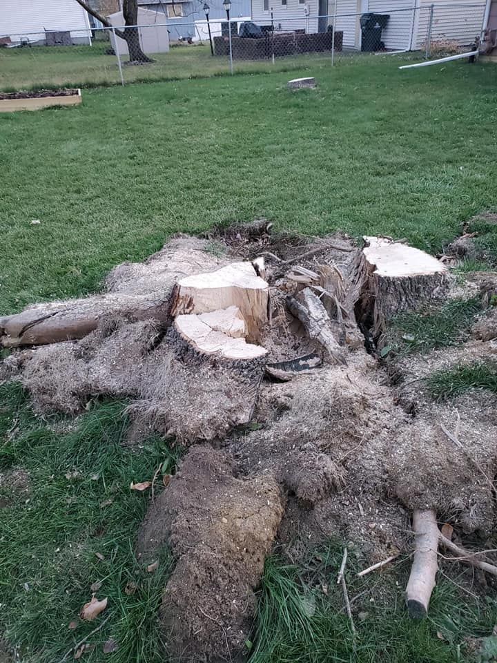 Removing Tree Stump — Iowa City, IA — Corridor Stump Grinding
