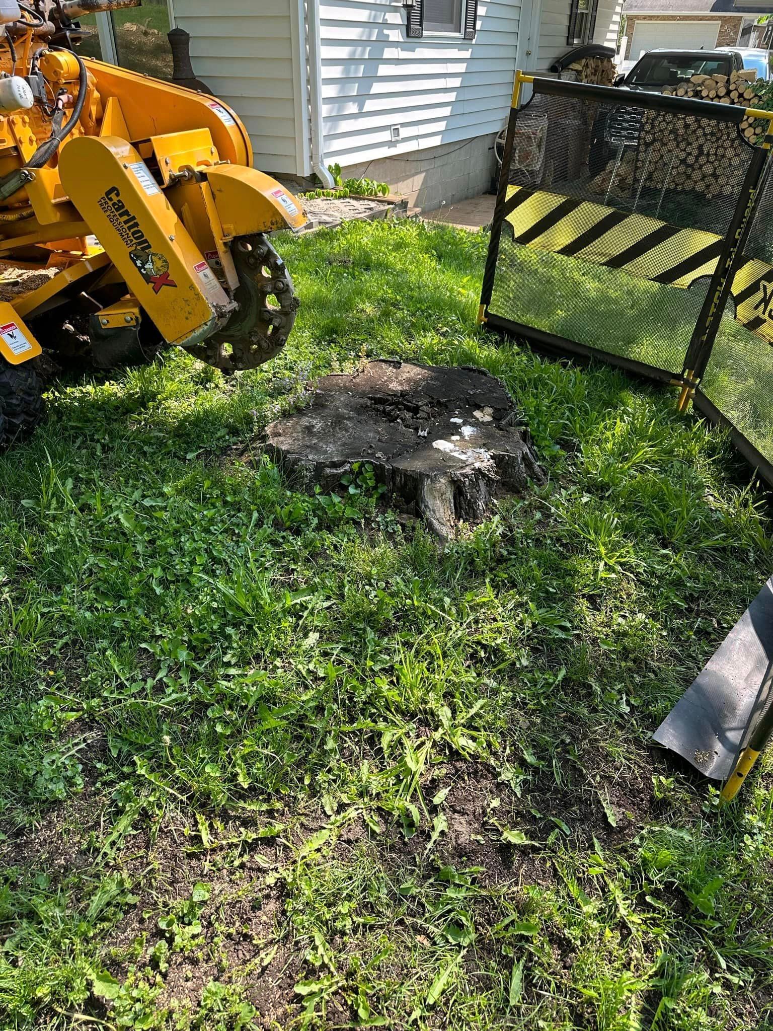 Stump Grinder — Iowa City, IA — Corridor Stump Grinding