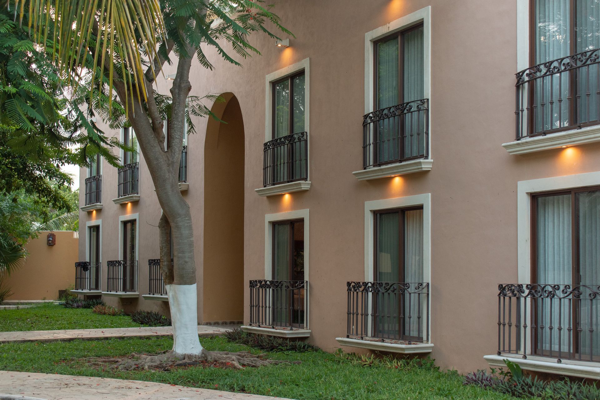 Un edificio con muchas ventanas y un árbol delante.