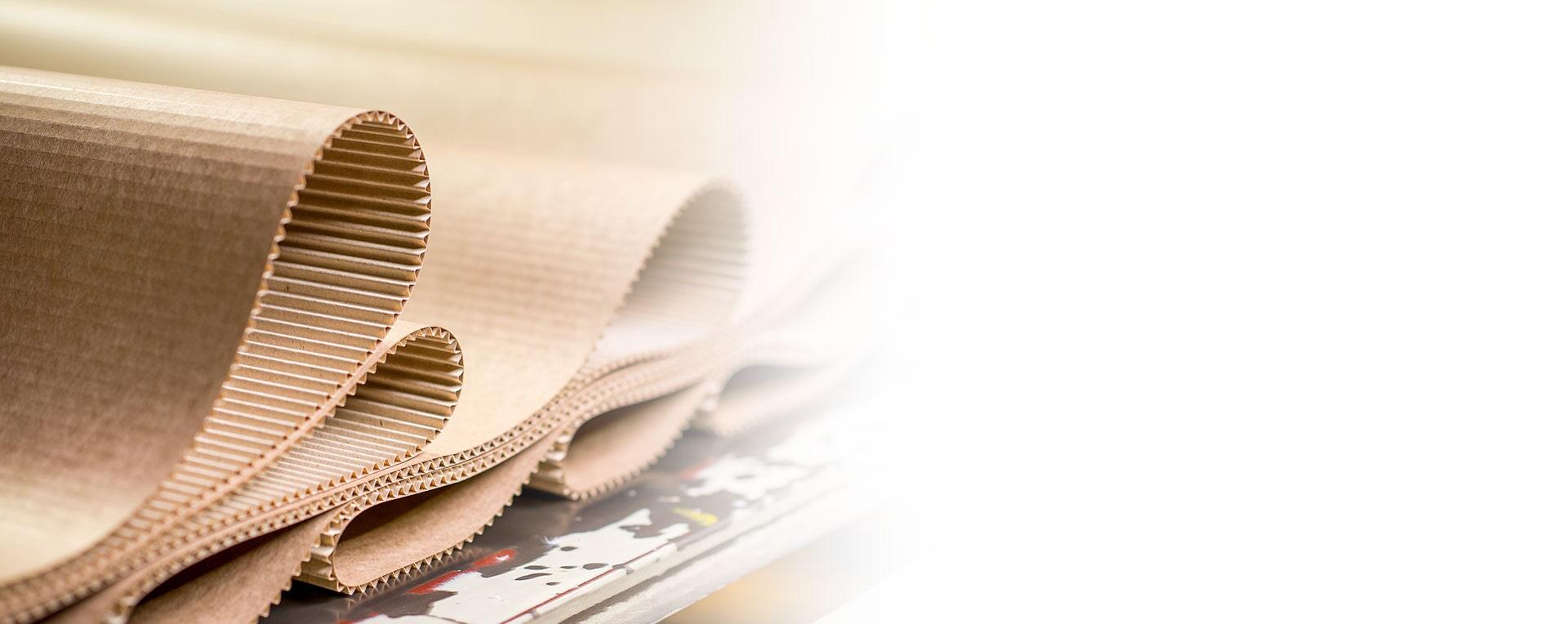 PRODUCTOS CURTIENTES 