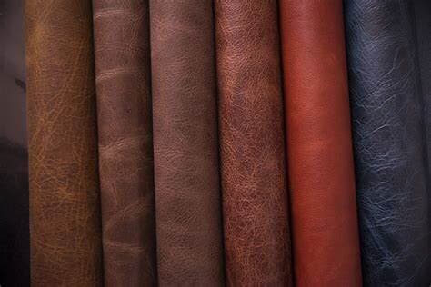 PRODUCTOS CURTIENTES