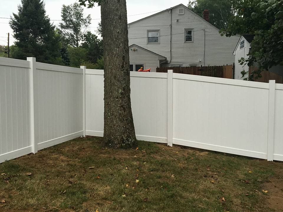 The Top 5 Dog-Friendly Fences for Your Yard in Monmouth County, New Jersey