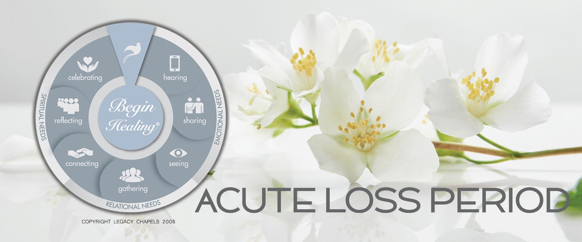 A picture of white flowers with the words `` acute loss period '' written on it.
