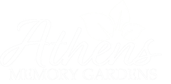 A white background with a few lines on it