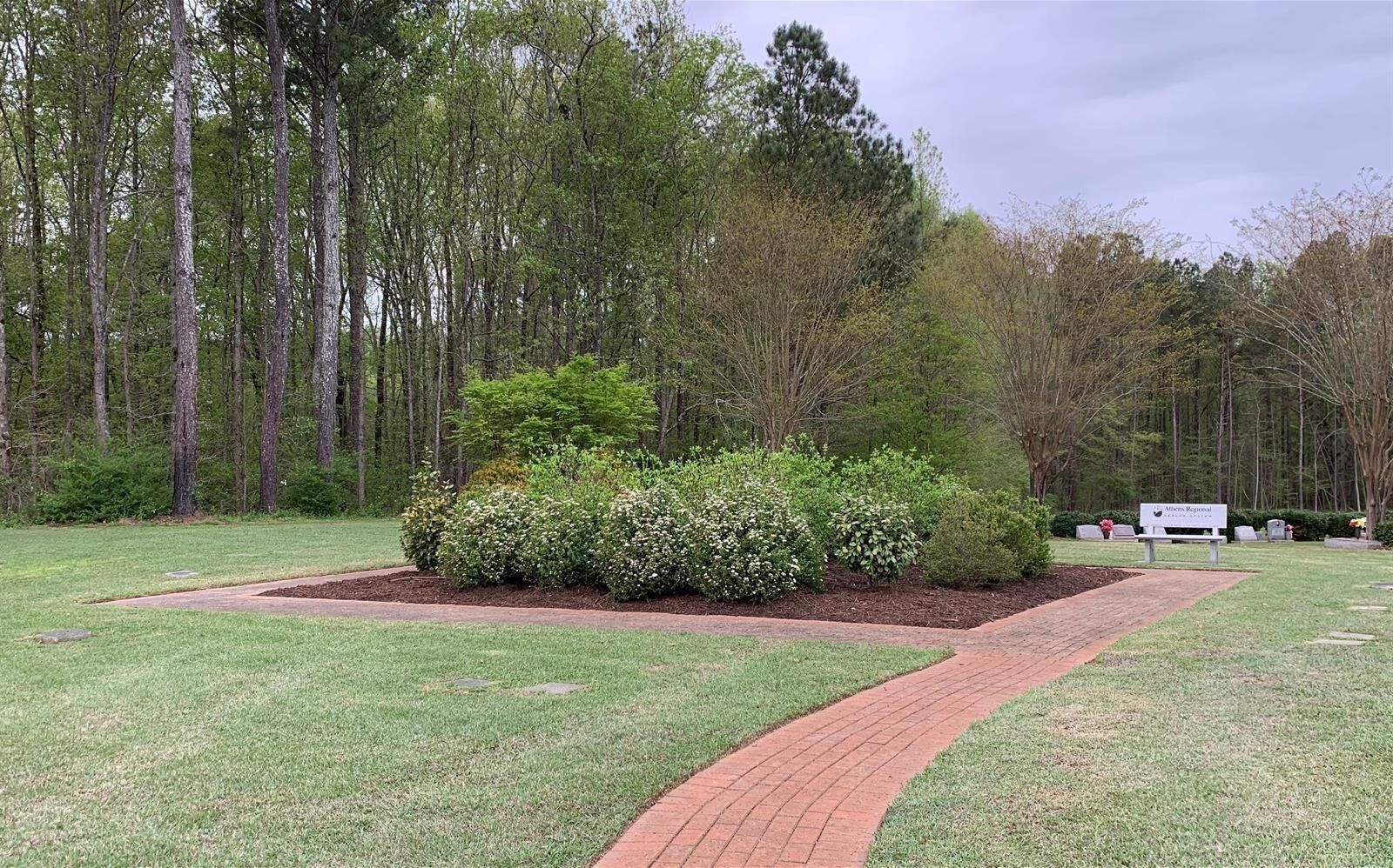 A brick walkway leading to a bench in a park surrounded by trees.