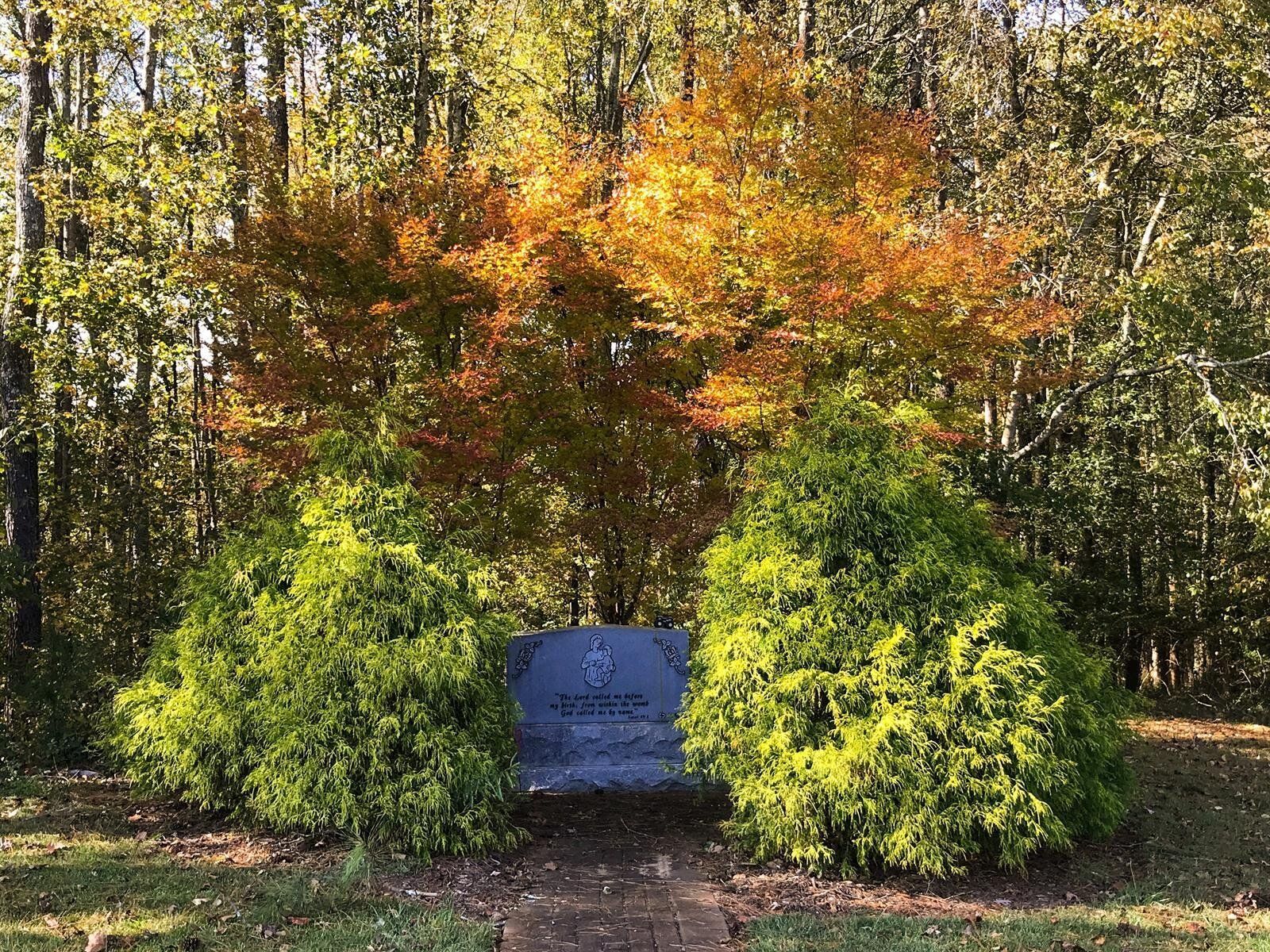 A gravestone in the middle of a forest with trees in the background.