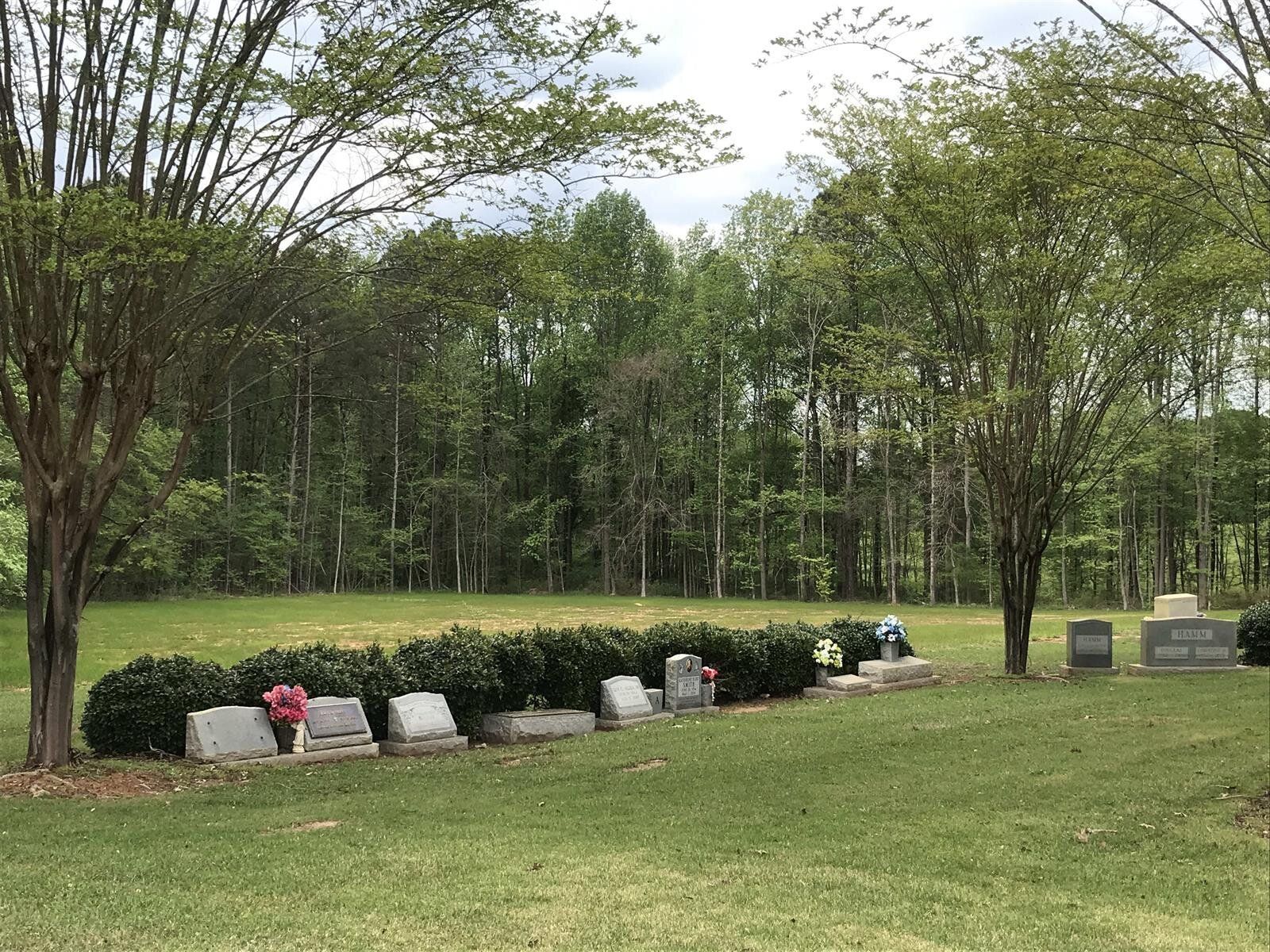 A cemetery with a lot of graves and trees in the background.
