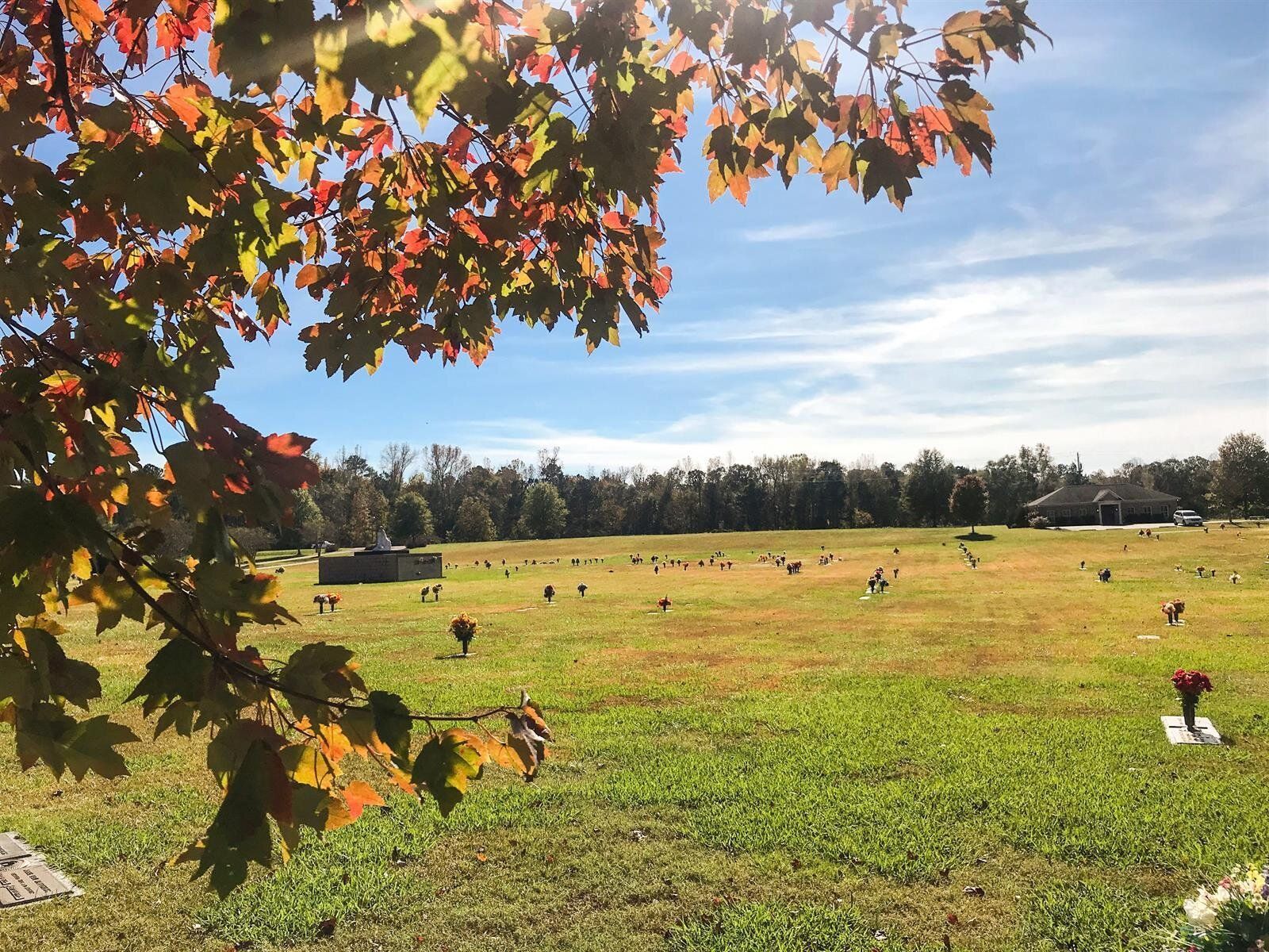 A cemetery with a tree in the foreground and flowers in the background.