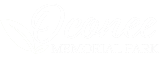 A white background with a few lines on it