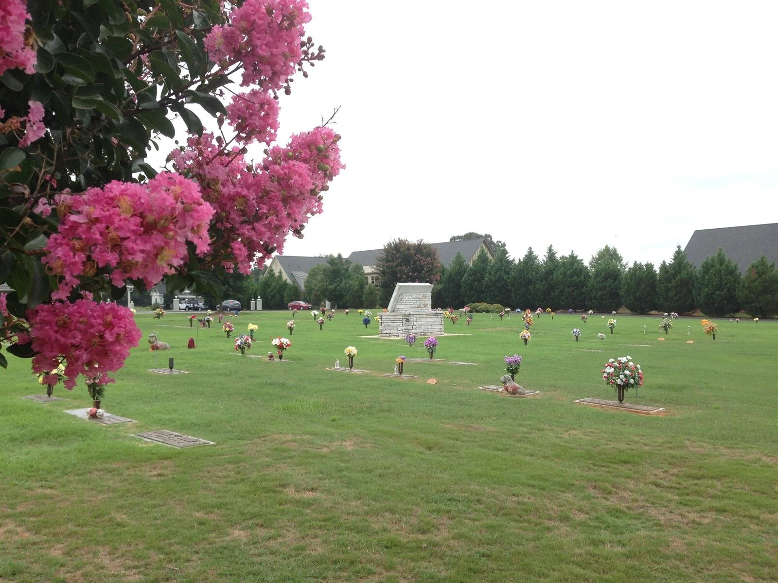 A cemetery with pink flowers in the foreground
