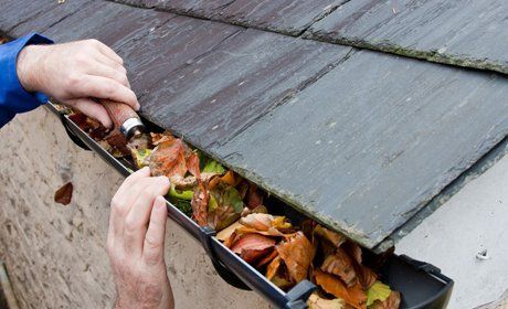 gutter cleaning