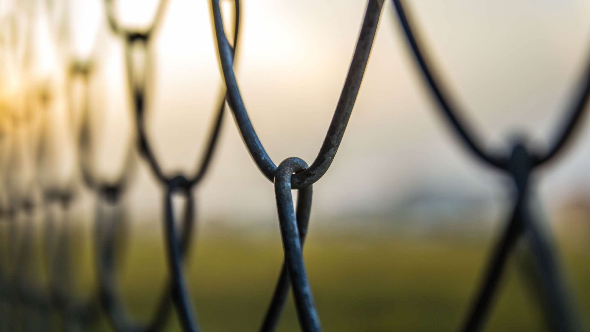 Close-up of chain-link fence with blurred background of a grassy field on a foggy day.