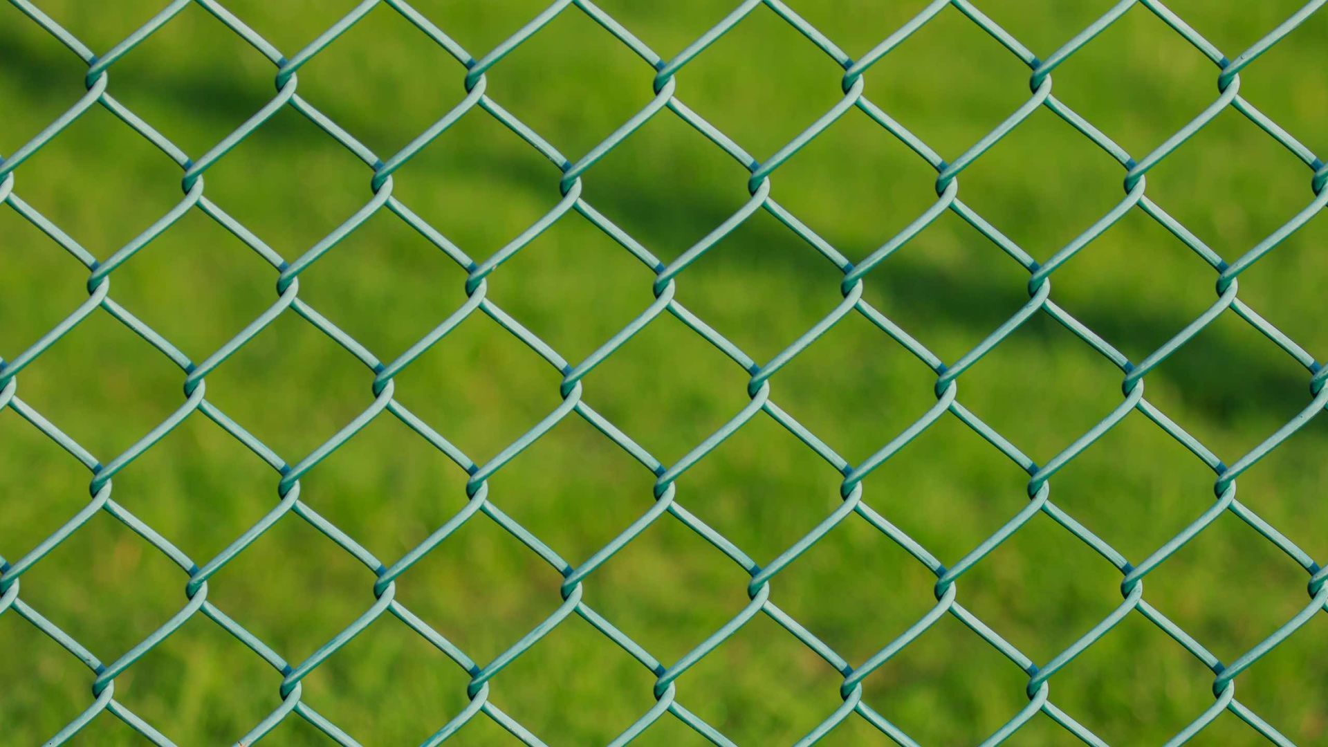 A chain link fence is surrounded by green grass
