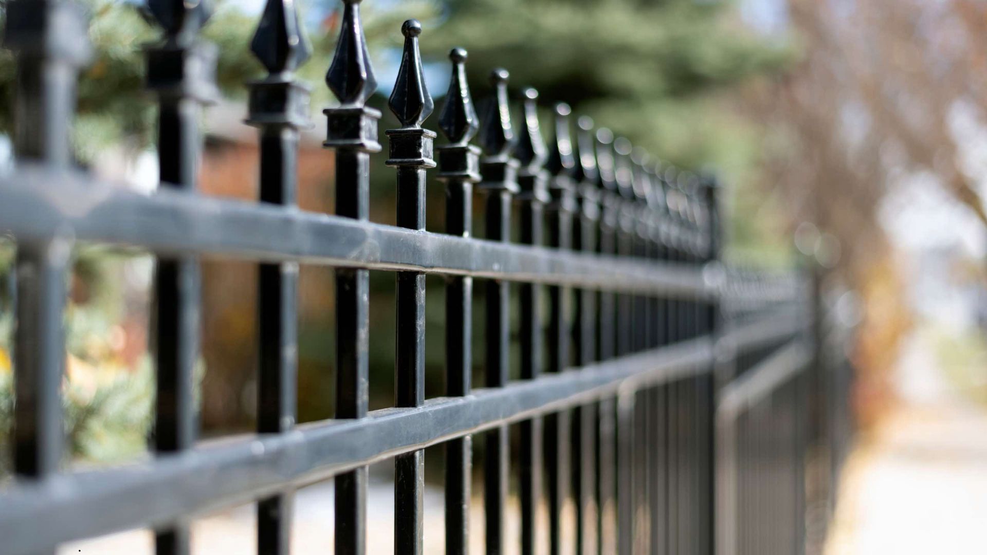 A close up of a black wrought iron fence.