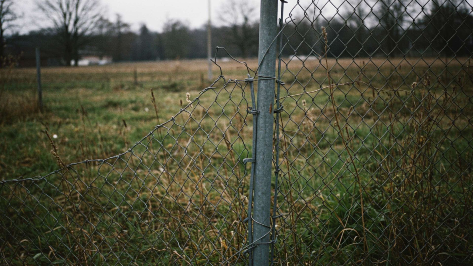 Chain-link fence and metal post in grassy field on an overcast day.