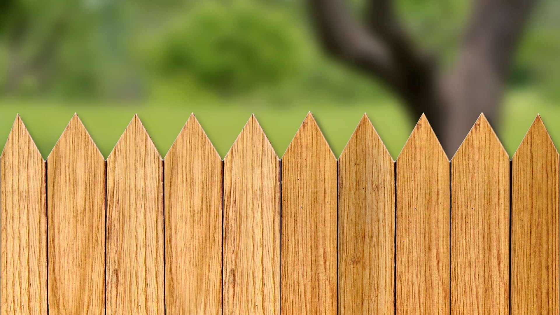 Wooden picket fence with pointed tops, green background of grass and a tree.