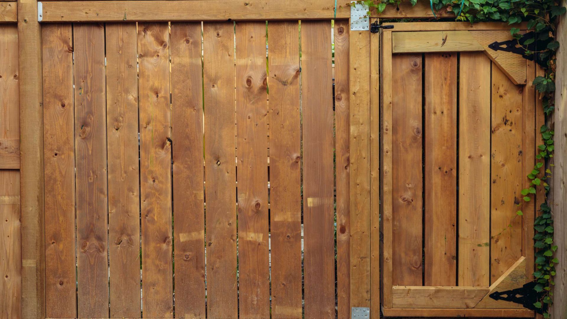 A wooden fence with a gate and ivy growing on it