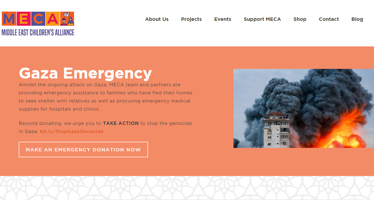Image of the MECA website's homepage.